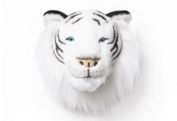 WHITE TIGER ALBERT